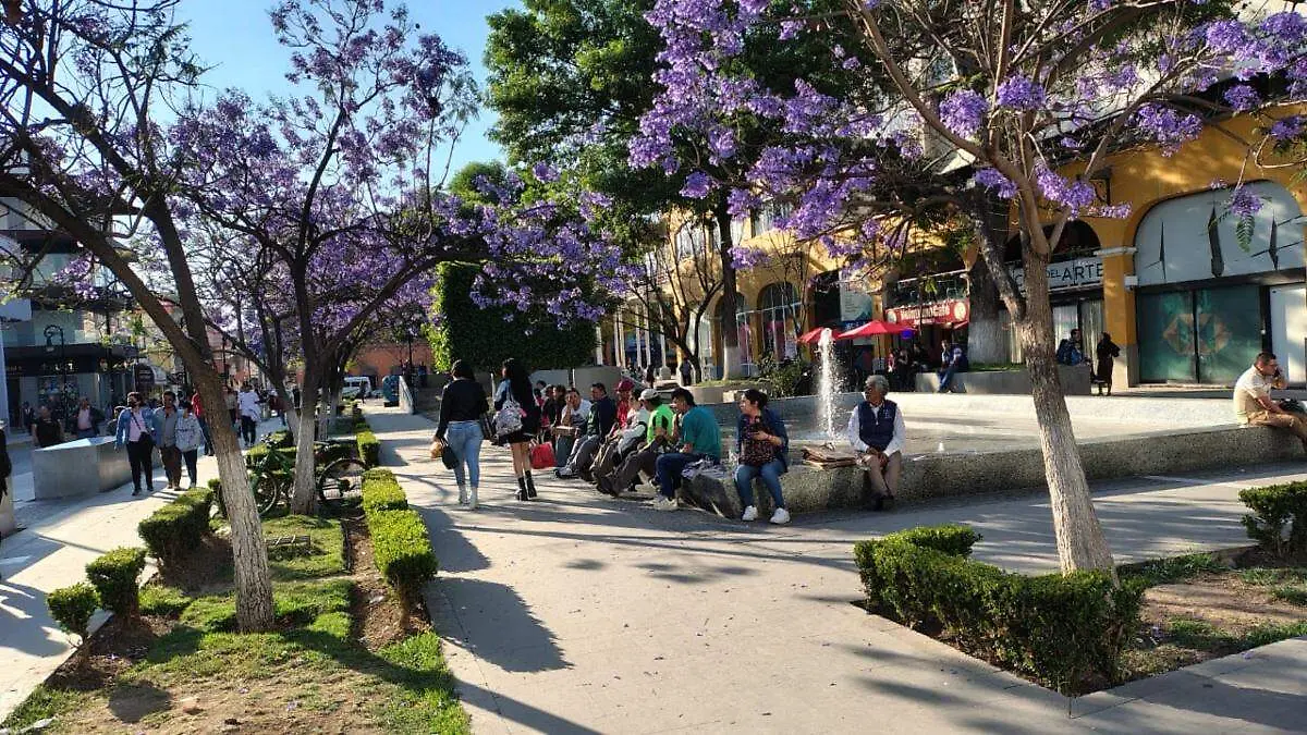 Clima en Tulancingo 4 de marzo